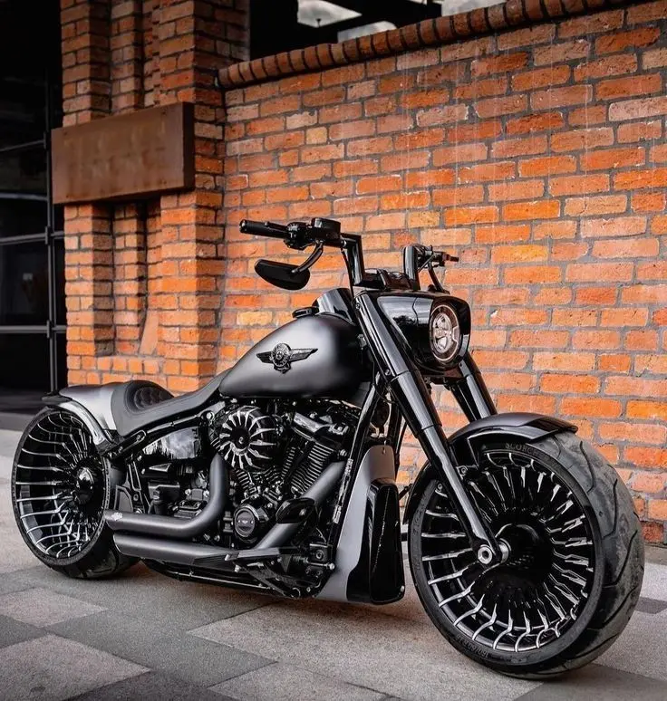 Roadster Bike 2