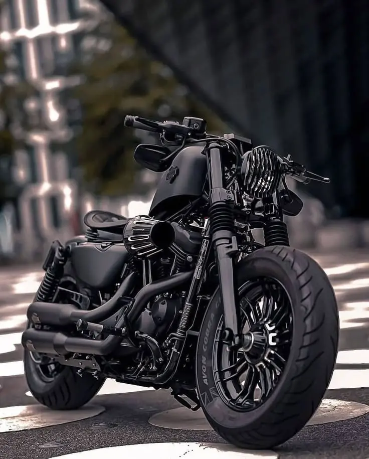 Roadster Bike